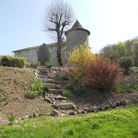 Chateau De La Moissetie Aurillac Esterno foto